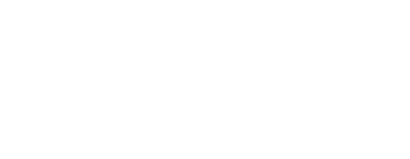 Capitalis Intelligence
