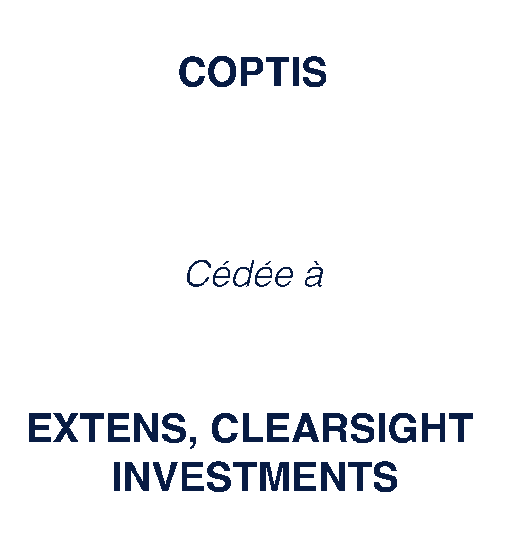 Coptis_extens